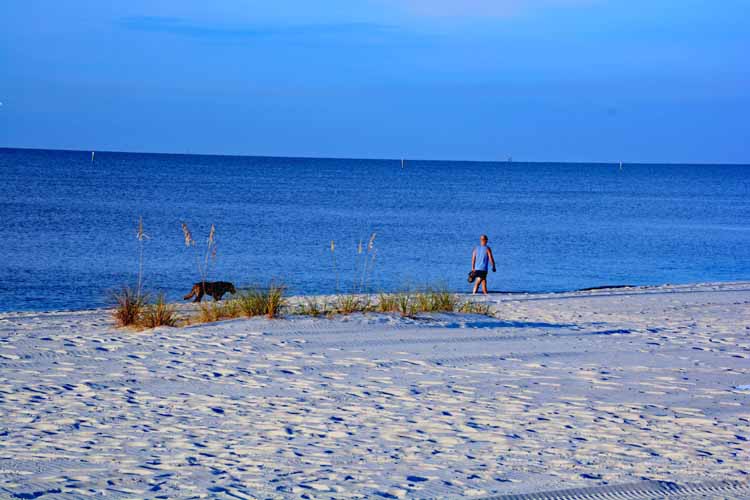 sandy beach